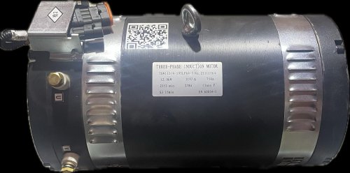 Электродвигатель помпы TSW112/4-195LP64-1, 35204000106, XILIN (Ningbo Ruyi), для CQD20-D